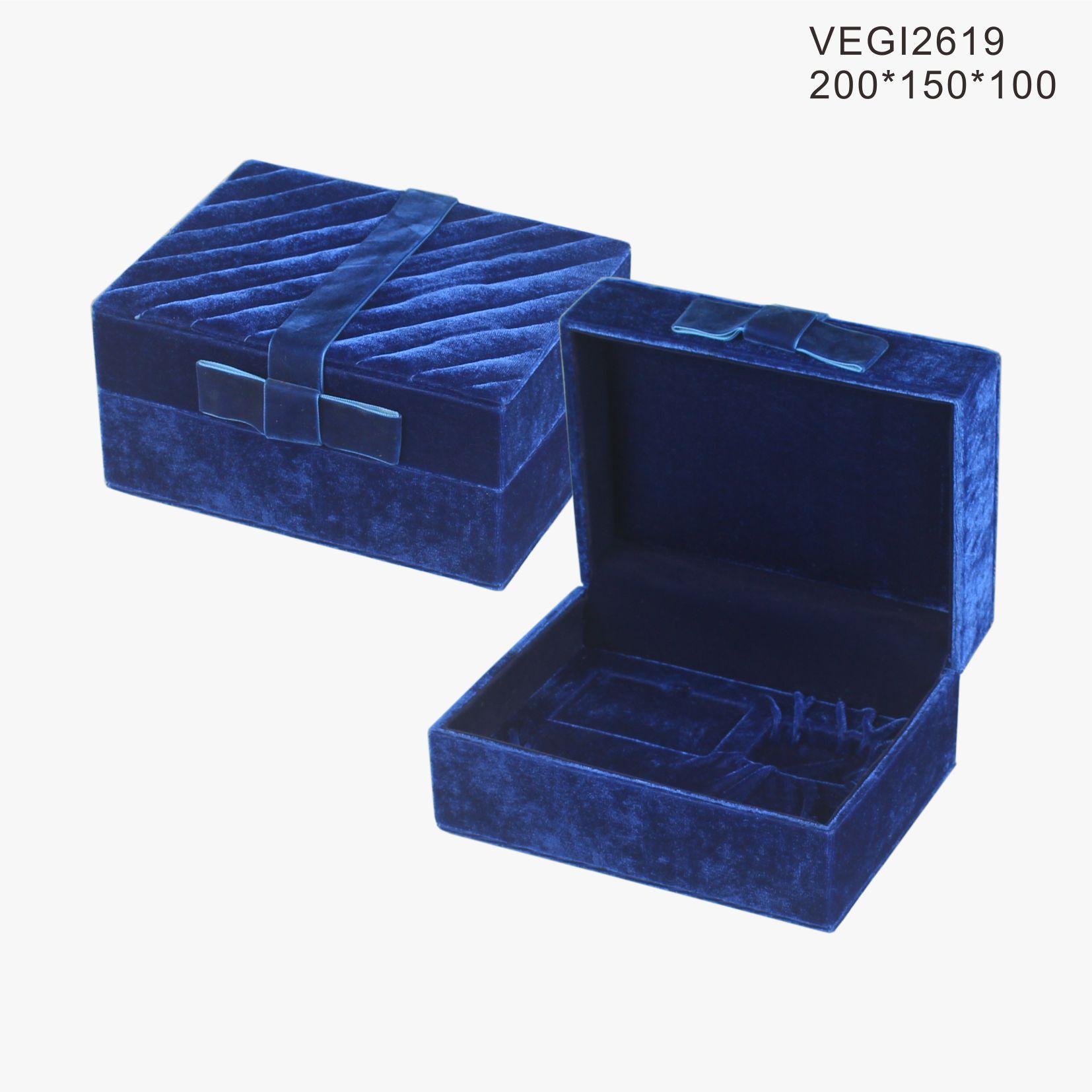 VEGI2619